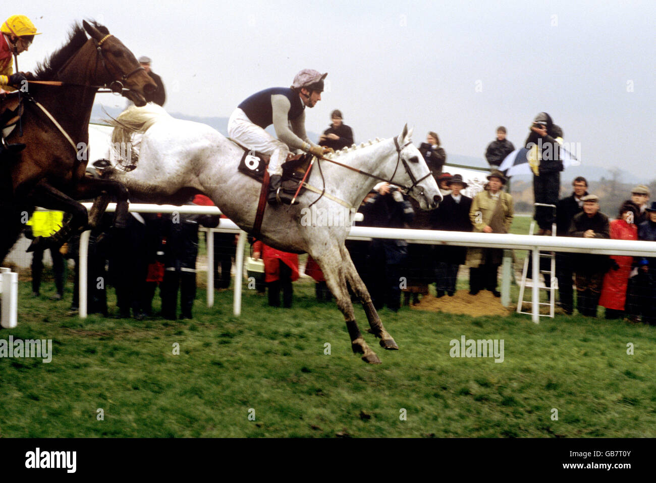 Horse Racing - Cheltenham Gold Cup. Desert Orchid, Simon Sherwood up, races to victory Stock Photo