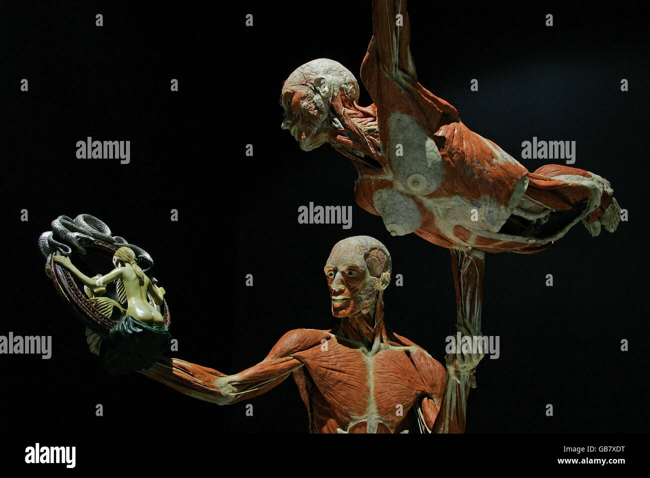 Body Worlds & The Mirror of Time exhibition Stock Photo