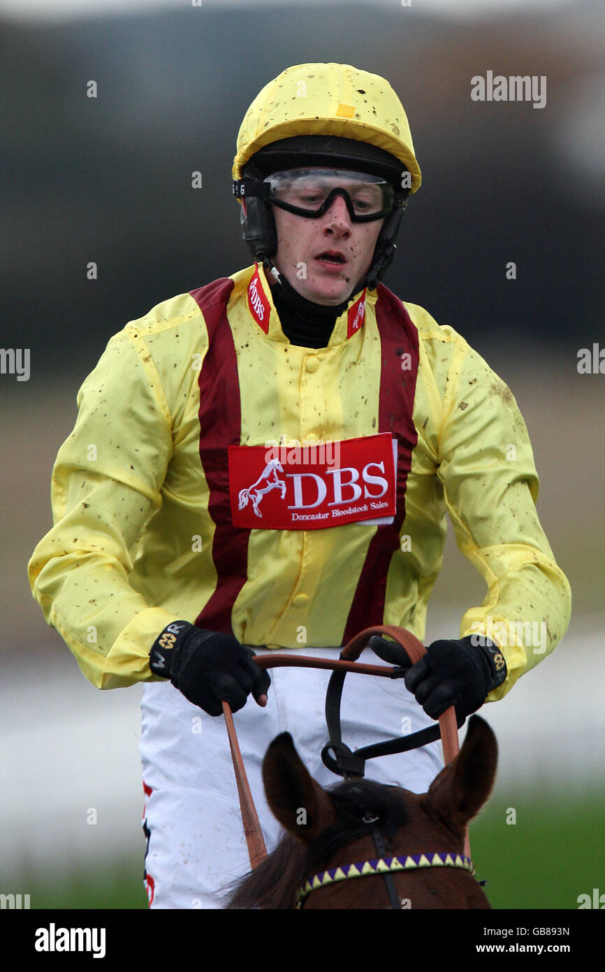 Horse Racing Wetherby Racecourse Stock Photo Alamy