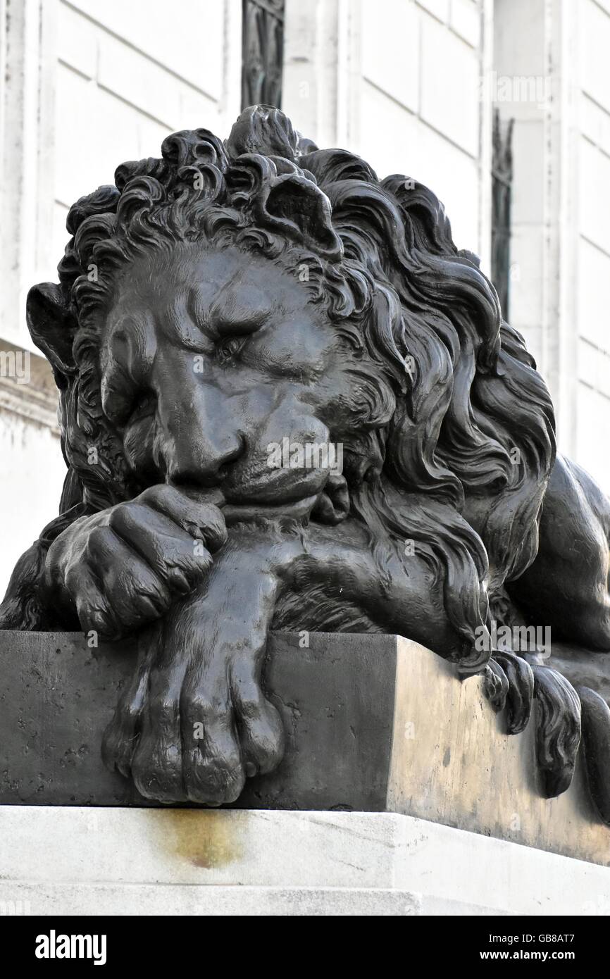A beautiful lion statue outside an art building in Washington DC Stock