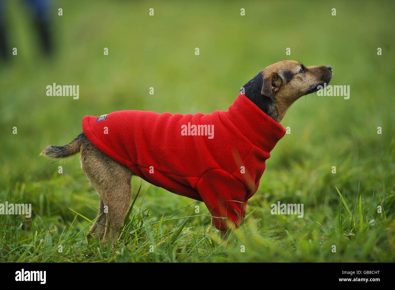 Human hunt hires stock photography and images Alamy