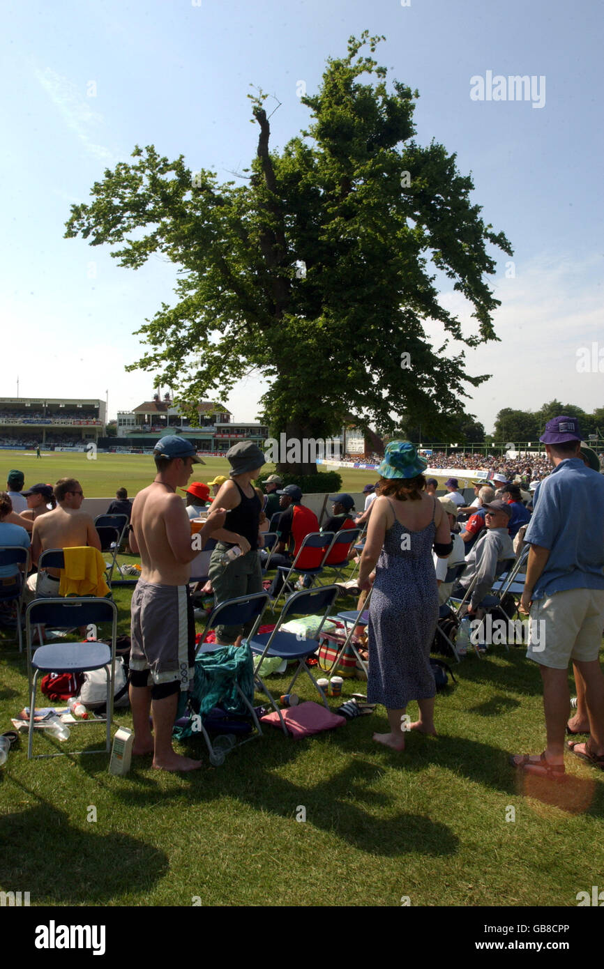 Cricket - South Africa v Zimbabwe - One Day NatWest Series. St Lawrence Ground, Canterbury home of Kent cricket club Stock Photo