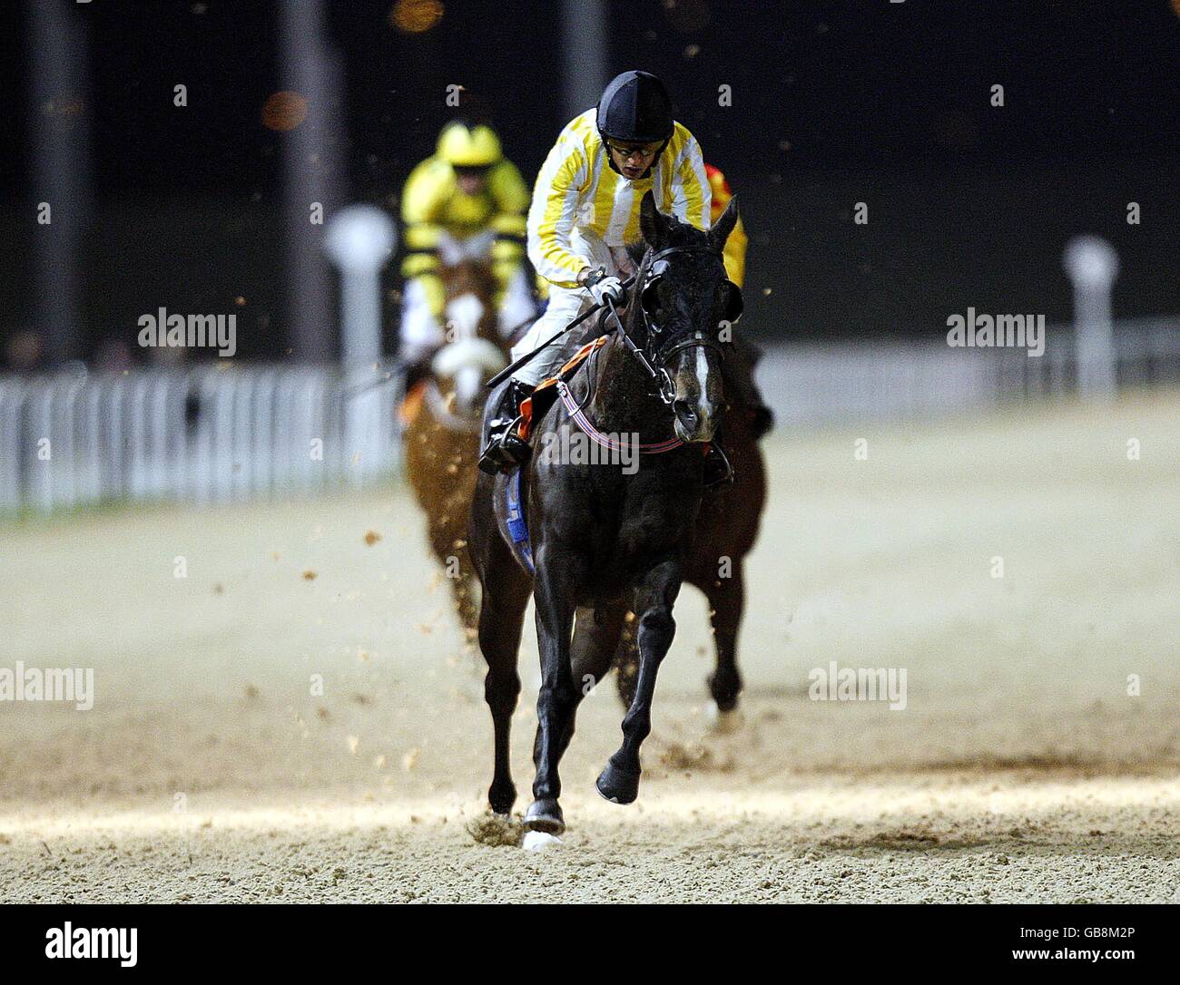 Horse Racing - Great Leighs Racecourse Stock Photo