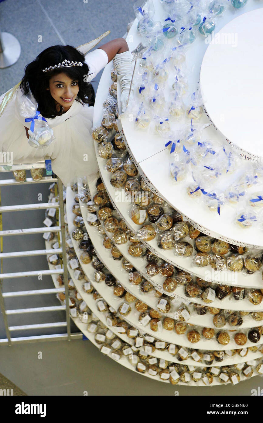 Biggest Cupcake In The World