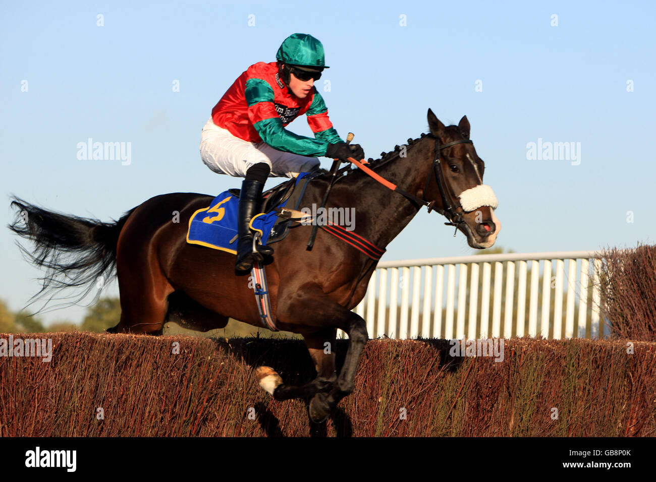 Horse Racing Fakenham Racecourse Stock Photo Alamy
