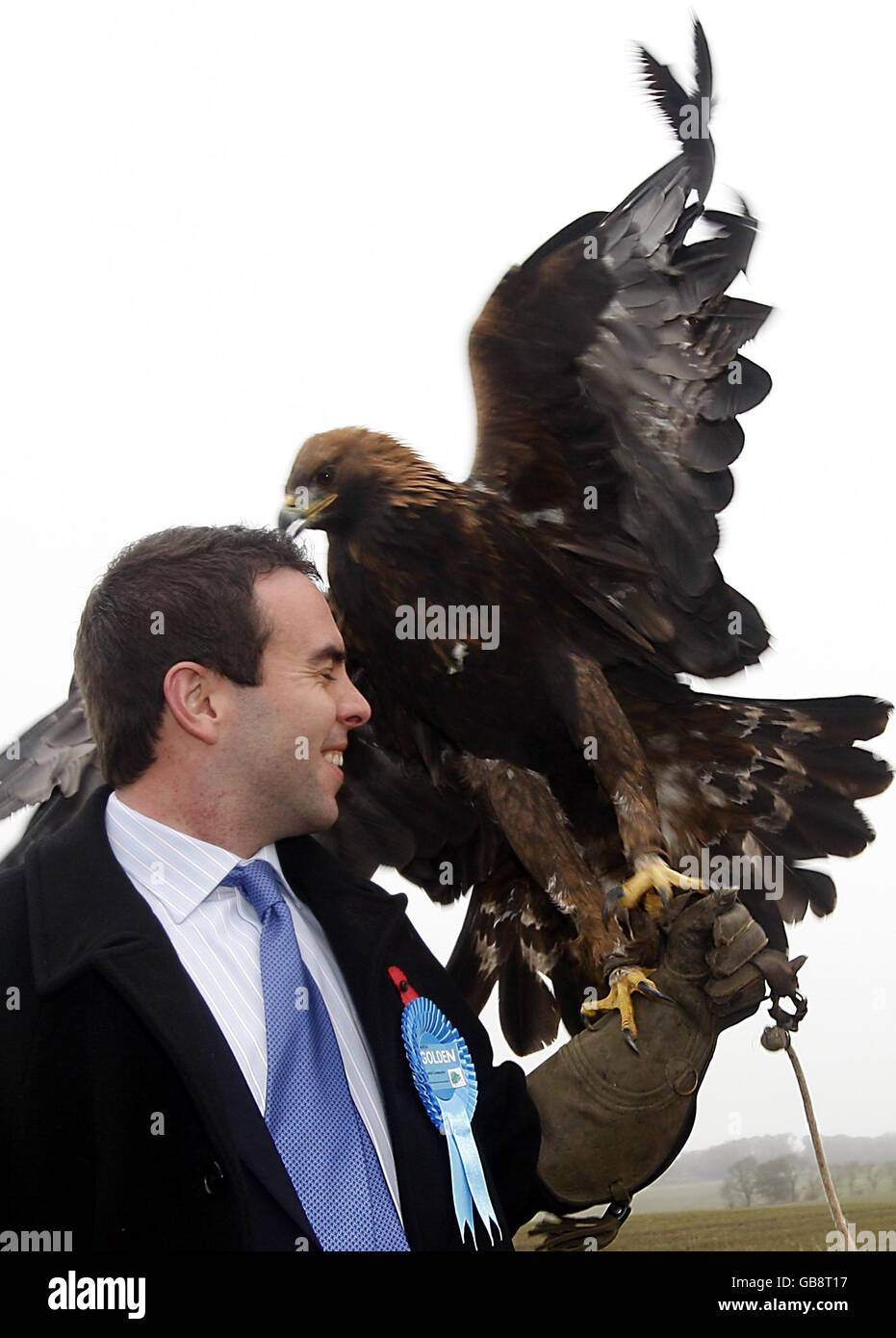 Glenrothes by-election. Glenrothes by-election Tory candidate Maurice Golden during a visit to Elite Falconry. Stock Photo