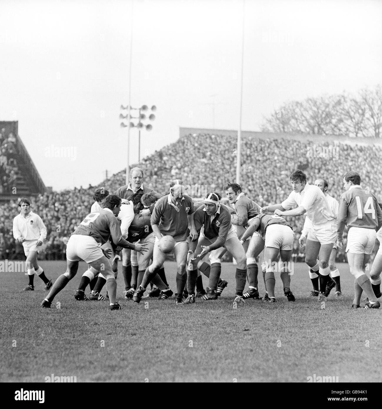 Ireland's Willie John McBride (c) feeds teammate Koo Koo Young (l) Stock Photo