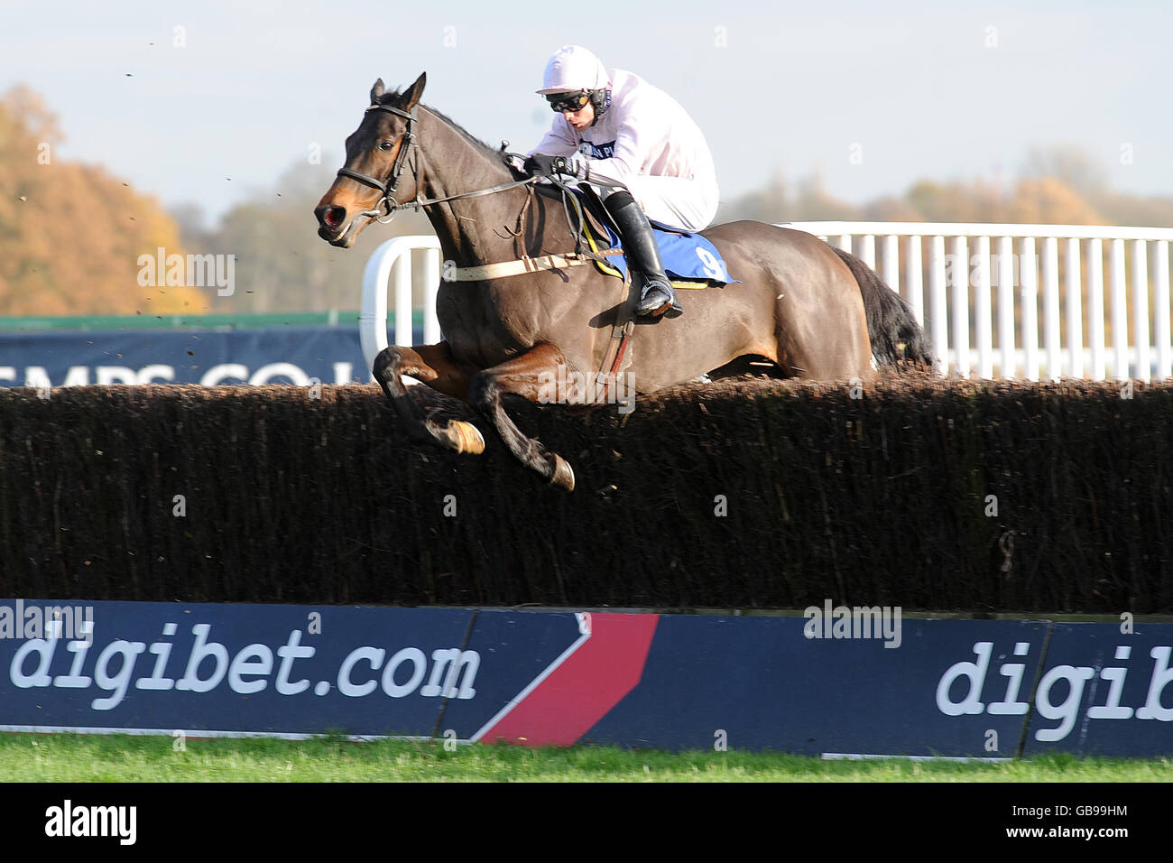 Horse Racing Kempton Park Stock Photo Alamy