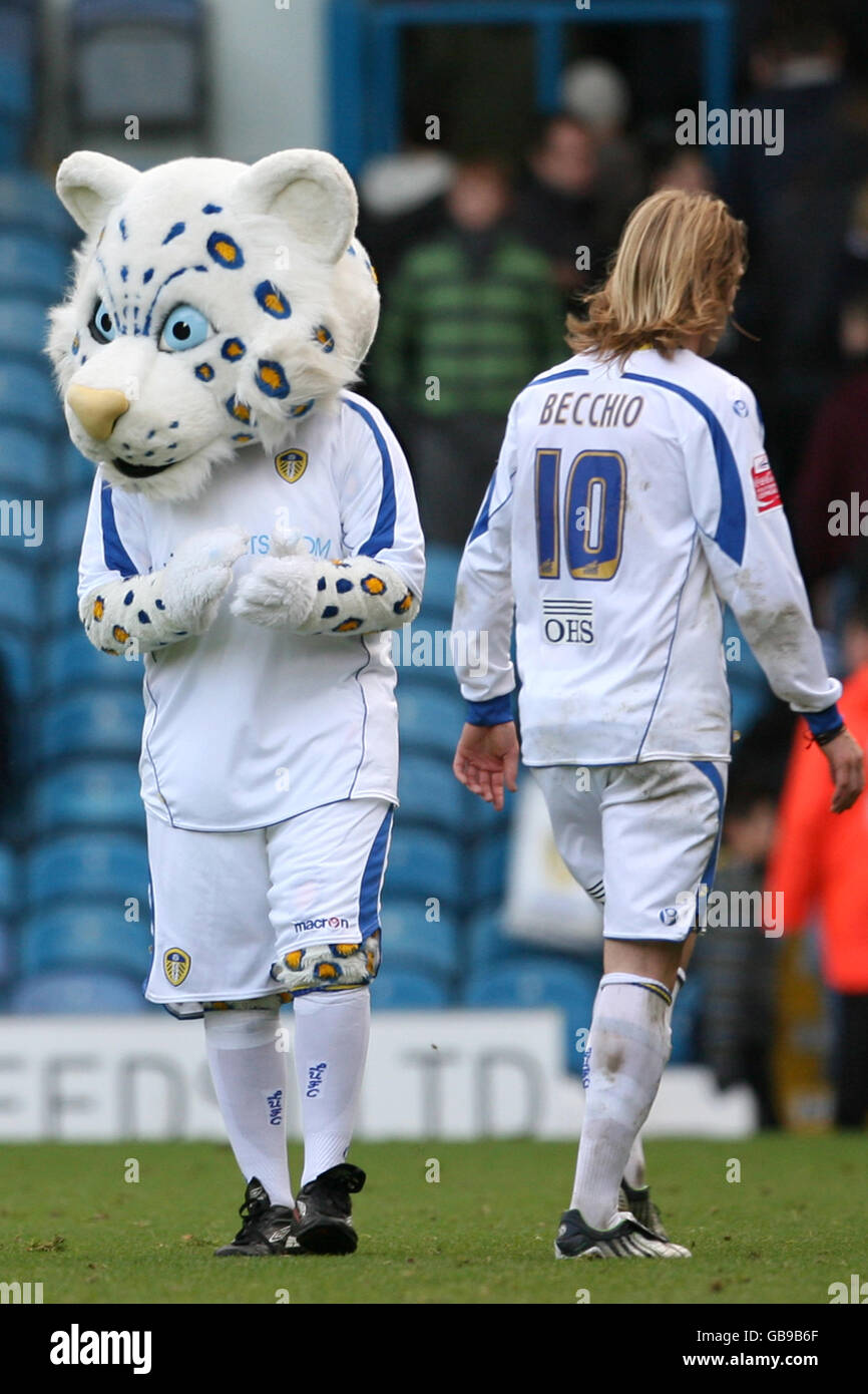 Leeds united mascot kop cat at elland road hires stock photography and images Alamy