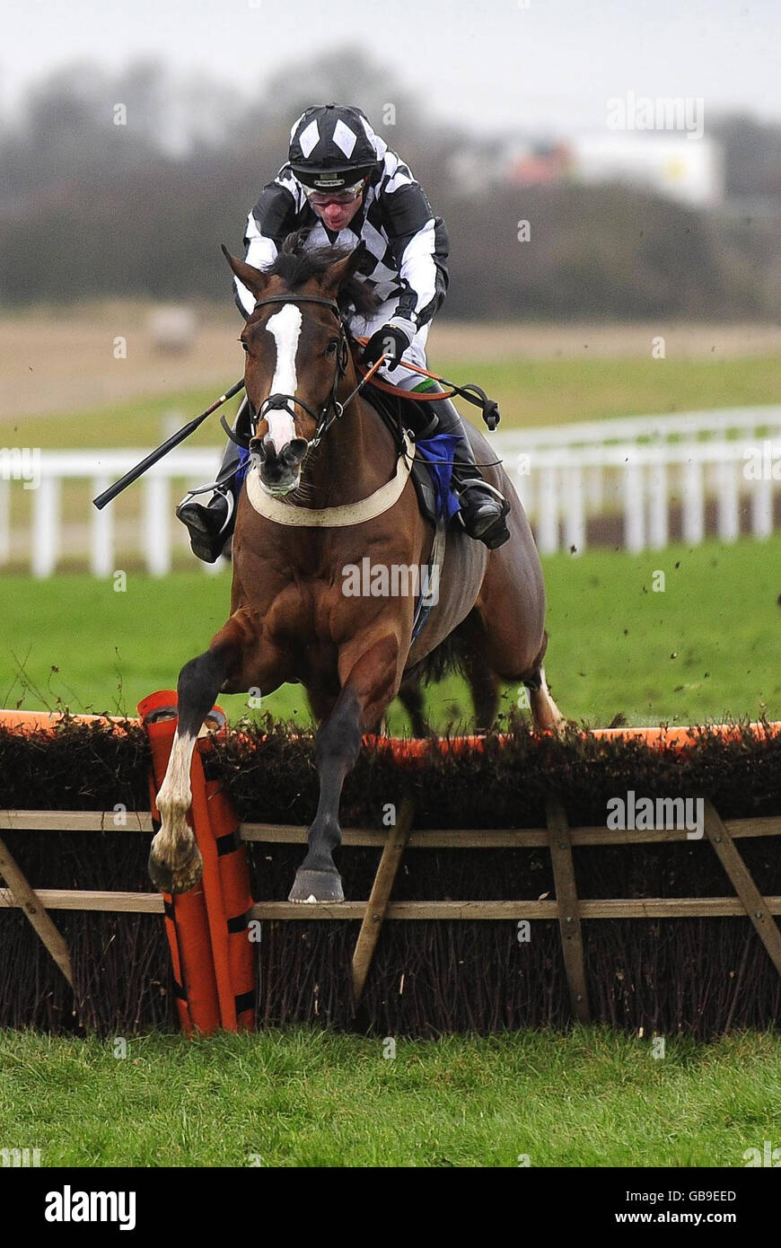 Horse Racing Wetherby Racecourse Stock Photo Alamy