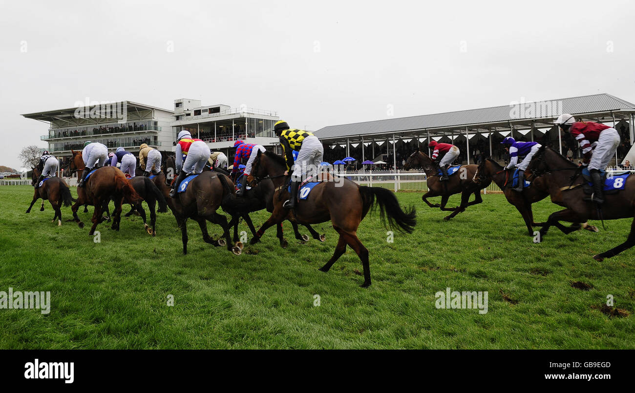 Runners and riders pass the stands at wetherby racecourse hires stock