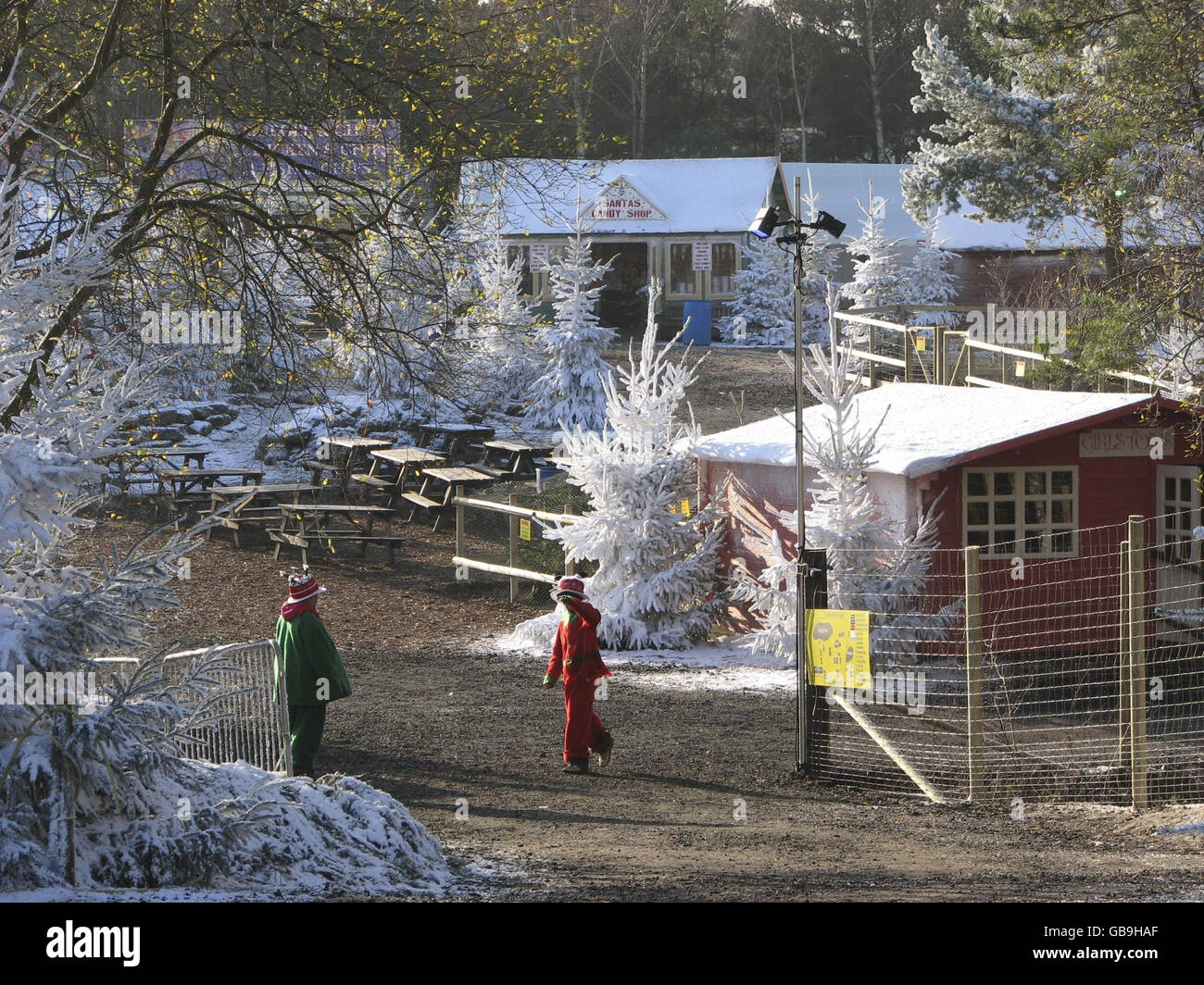 Standalone picture A deserted Lapland New Forest at Matchams Leisure