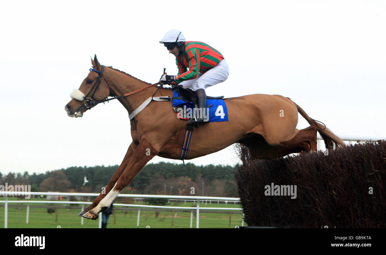 Horse Racing - Race Meeting - Market Rasen Racecourse. Will be Done ridden by Brian Harding jumps the last to win the Bateman's Good Honest Ales Beginners Steeple Chase Stock Photo