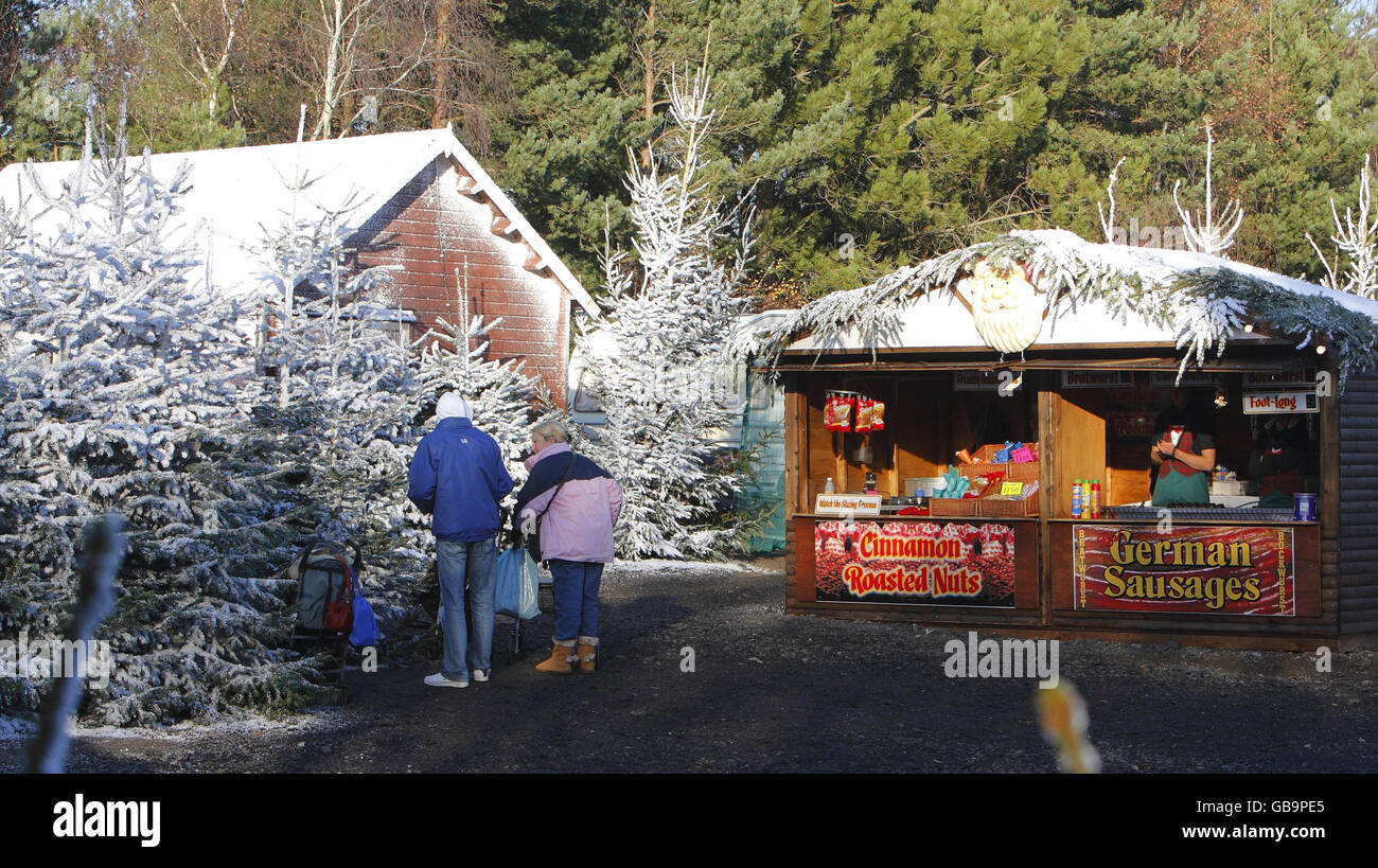 Lapland new forest matchams leisure park hires stock photography and