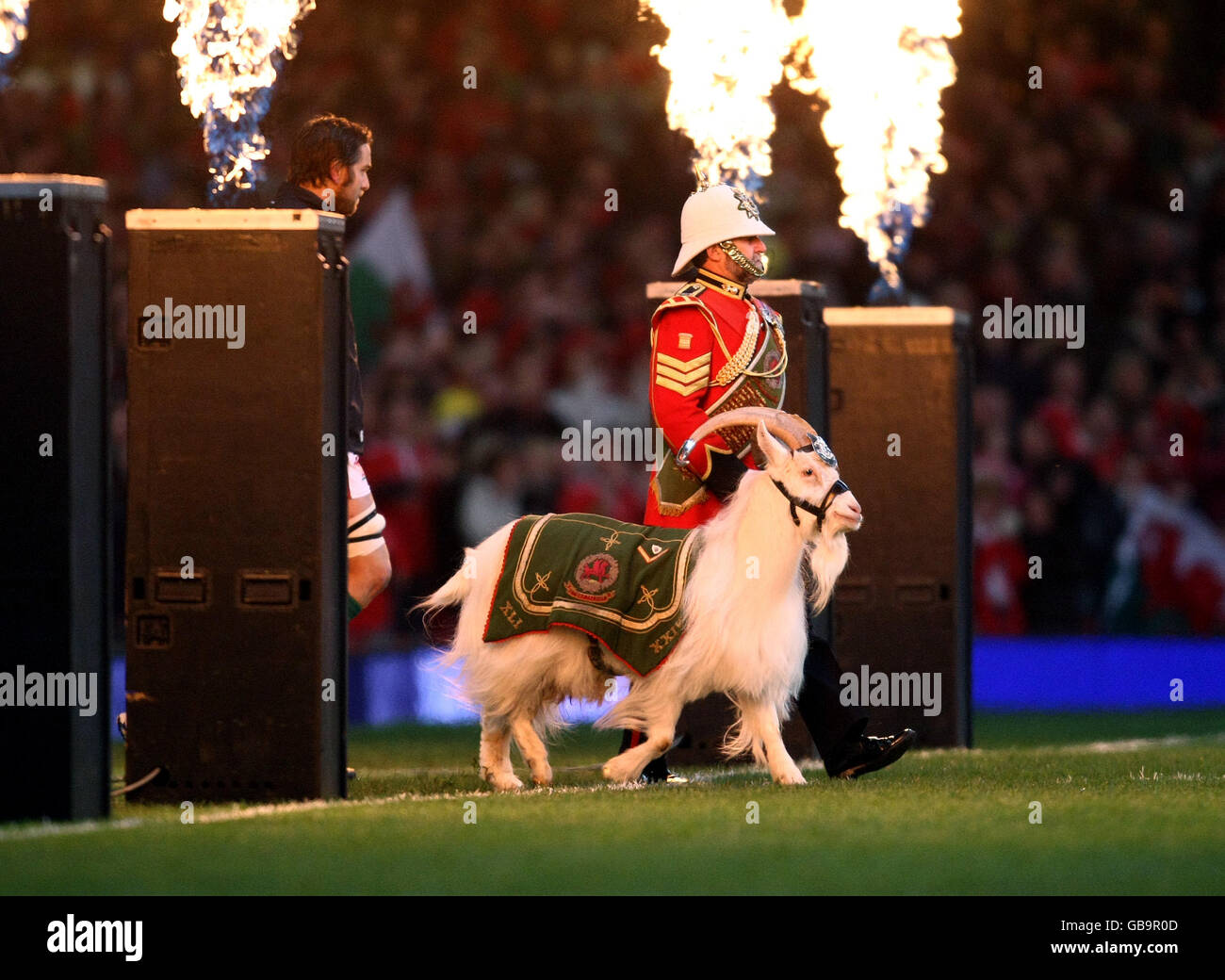'Shenkin' the goat (front) and Goat Major Sgt. David Joseph BEM lead the Welsh team onto the pitch prior to the Invesco Perpetual Series match at the Millennium Stadium, Cardiff. Stock Photo