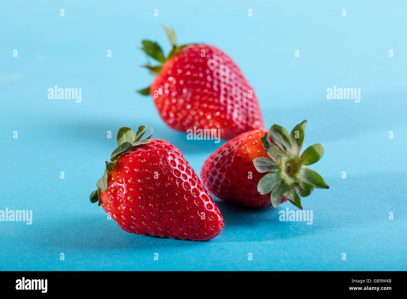 Three juicy strawberry on blue background Stock Photo - Alamy