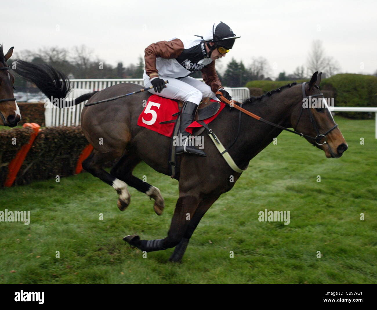 william hill sandown