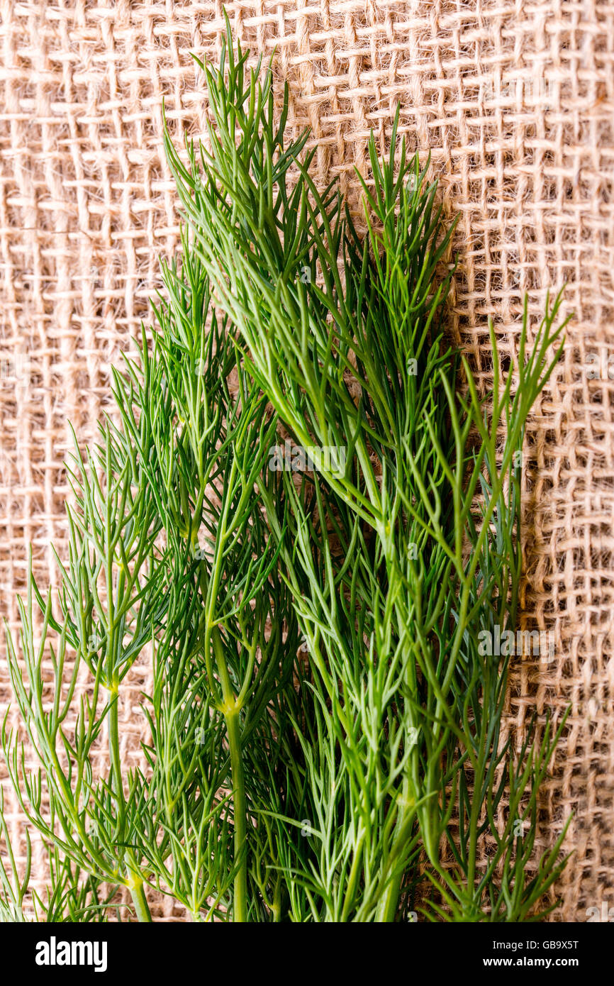 Fresh green dill on jute bag Stock Photo - Alamy