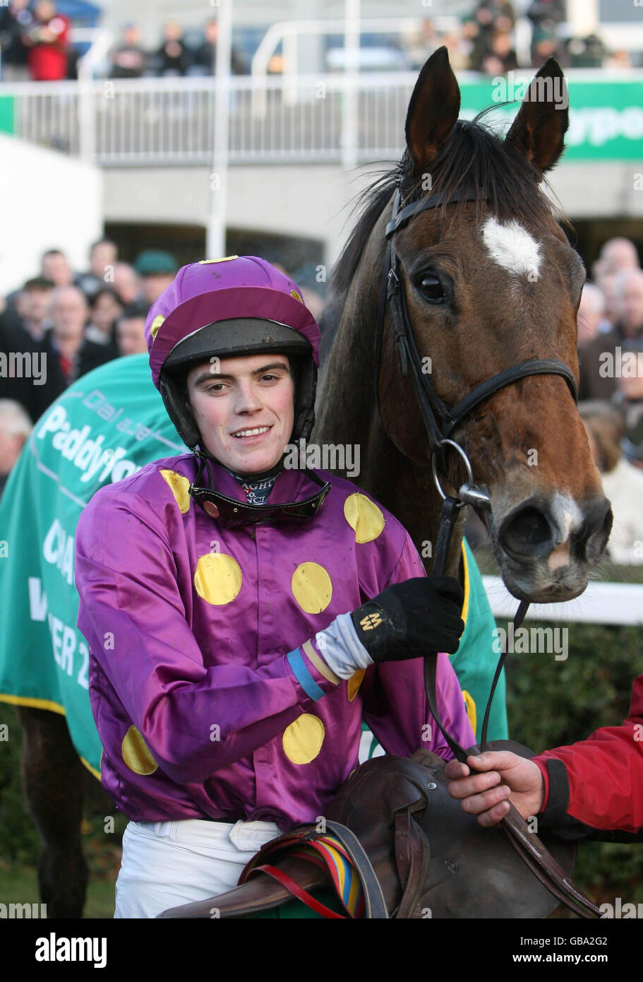 Horse racing celebrating celebrates winner wins win hi-res stock ...