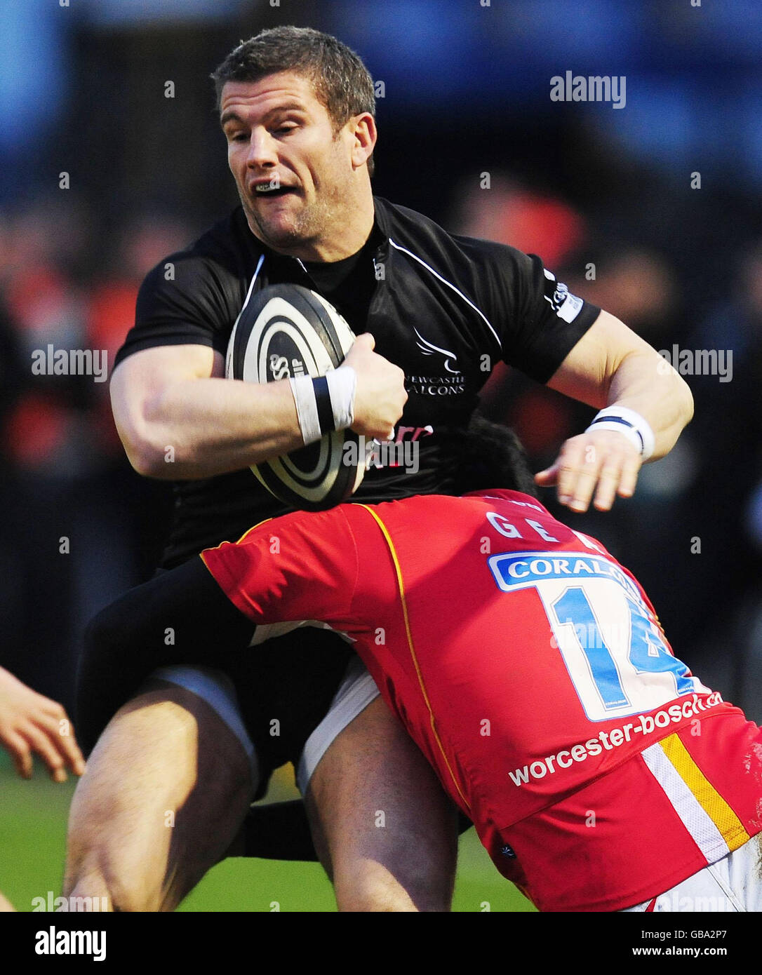 Rugby Union - Guinness Premiership - Newcastle Falcons v Worcester ...
