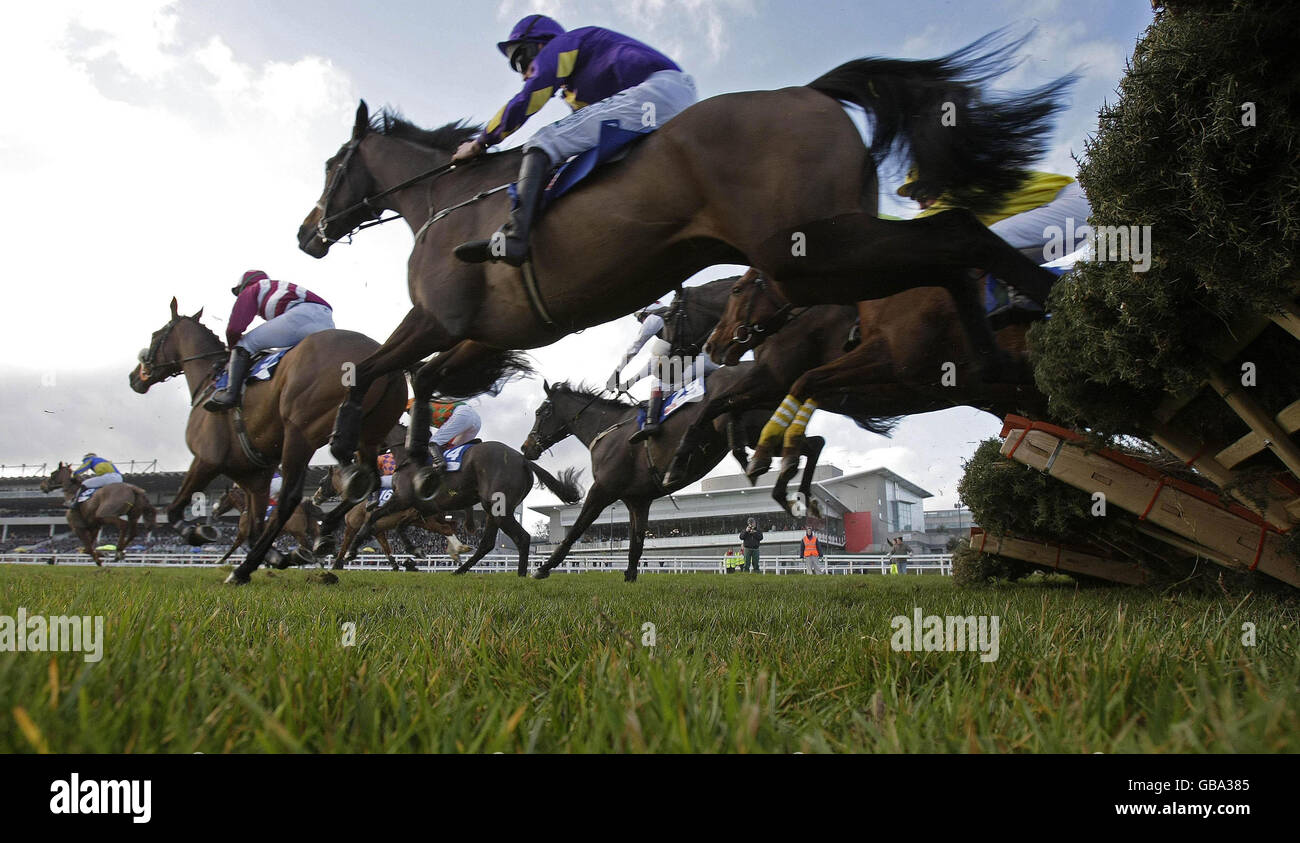 Horse Racing Lexus Chase Day Leopardstown Racecourse Stock Photo