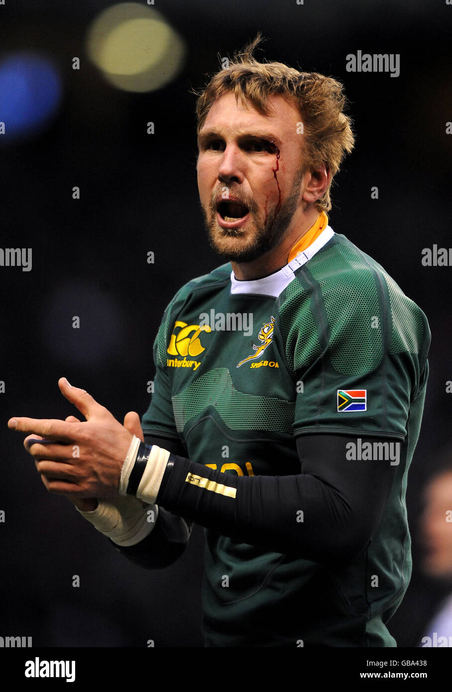 LIVE Blog: England v Springboks, as it happens from Twickenham Stadium