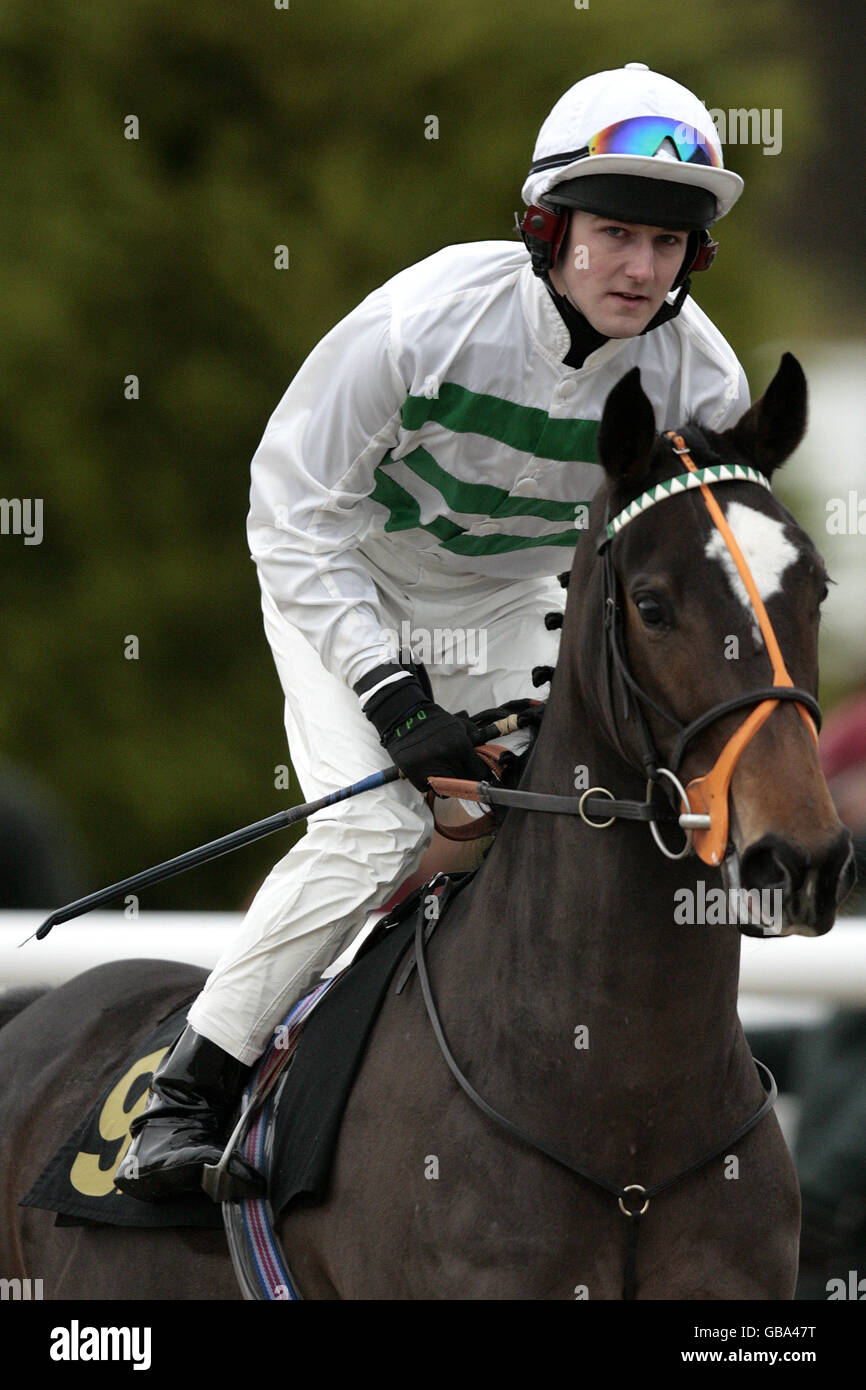 Horse Racing - Wolverhampton Racecourse Stock Photo - Alamy