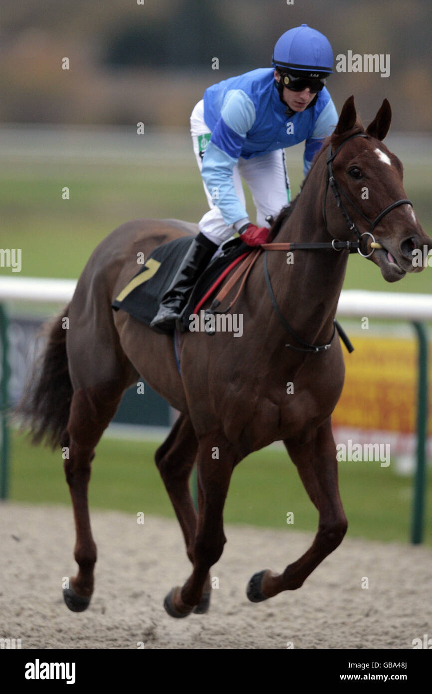 Eddie ahern jockey hi-res stock photography and images - Alamy