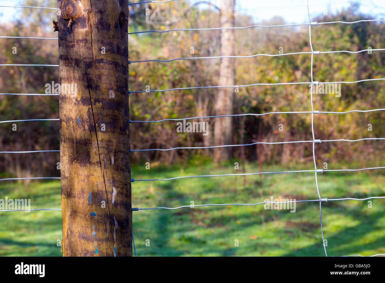 Wooden post on barbed hi-res stock photography and images - Alamy