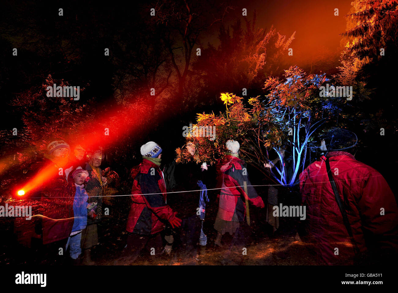 NOTE: MULTIPLE FLASH USED TO CREATE ILLUSION OF CROWDS AND MOVEMENT. People enjoy the festive light show at Westonbirt Arboretum, Gloucester. Stock Photo