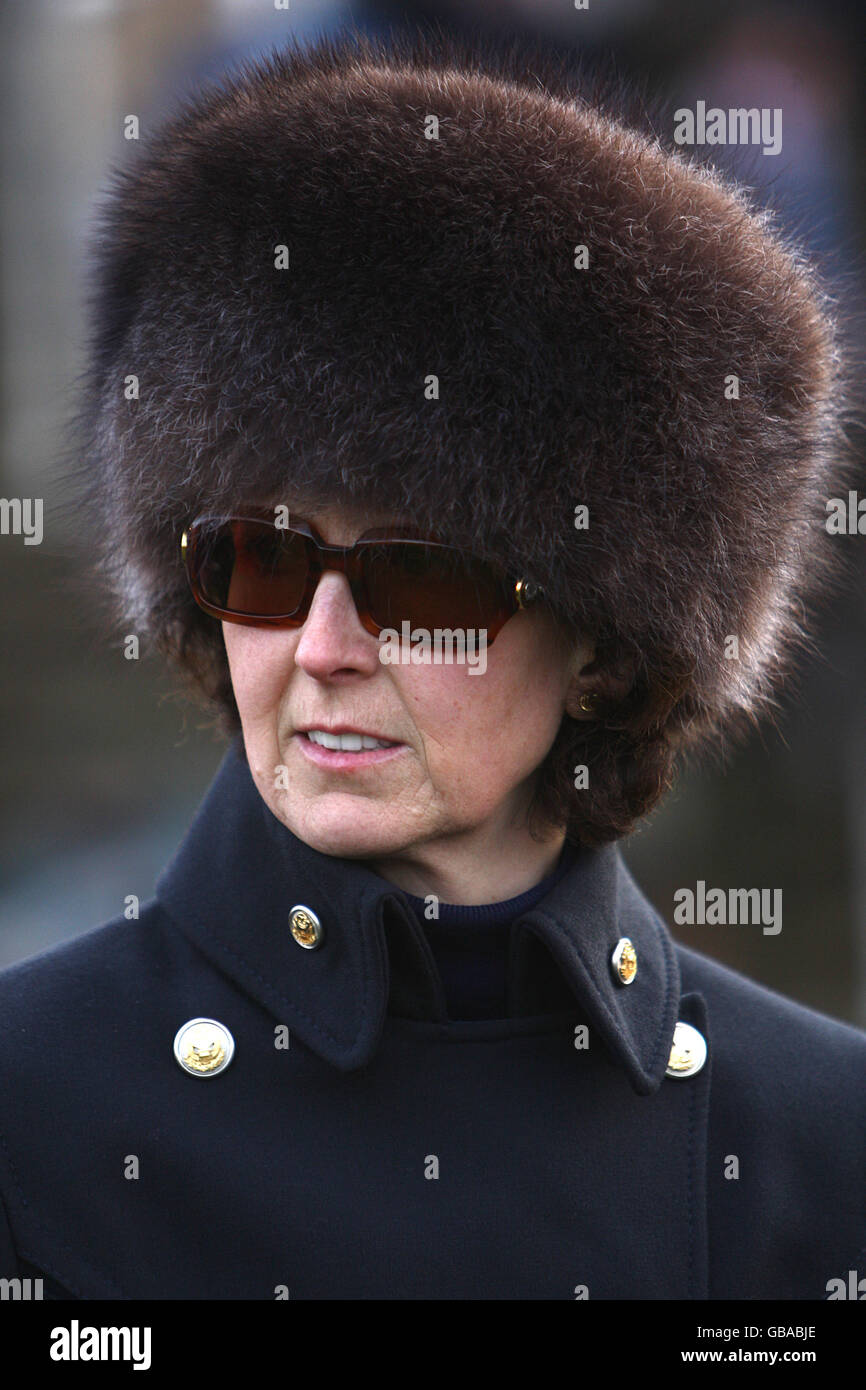 Trainer williams at cheltenham racecourse hires stock