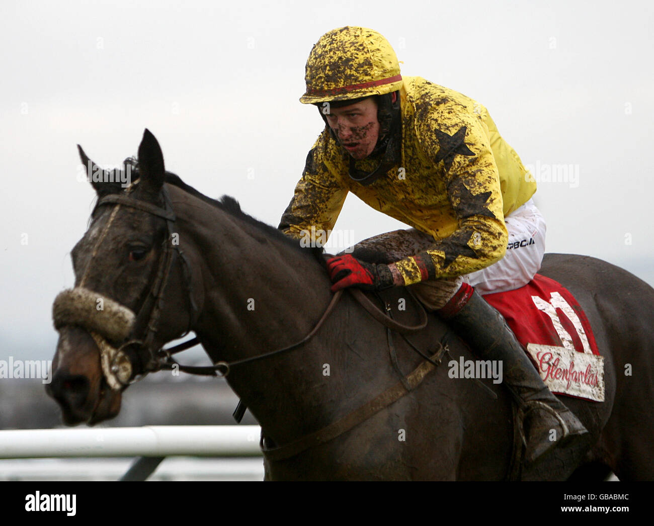 Shane Shortall Shane jackson jockey cheltenham racecourse hi-res stock photography and ...