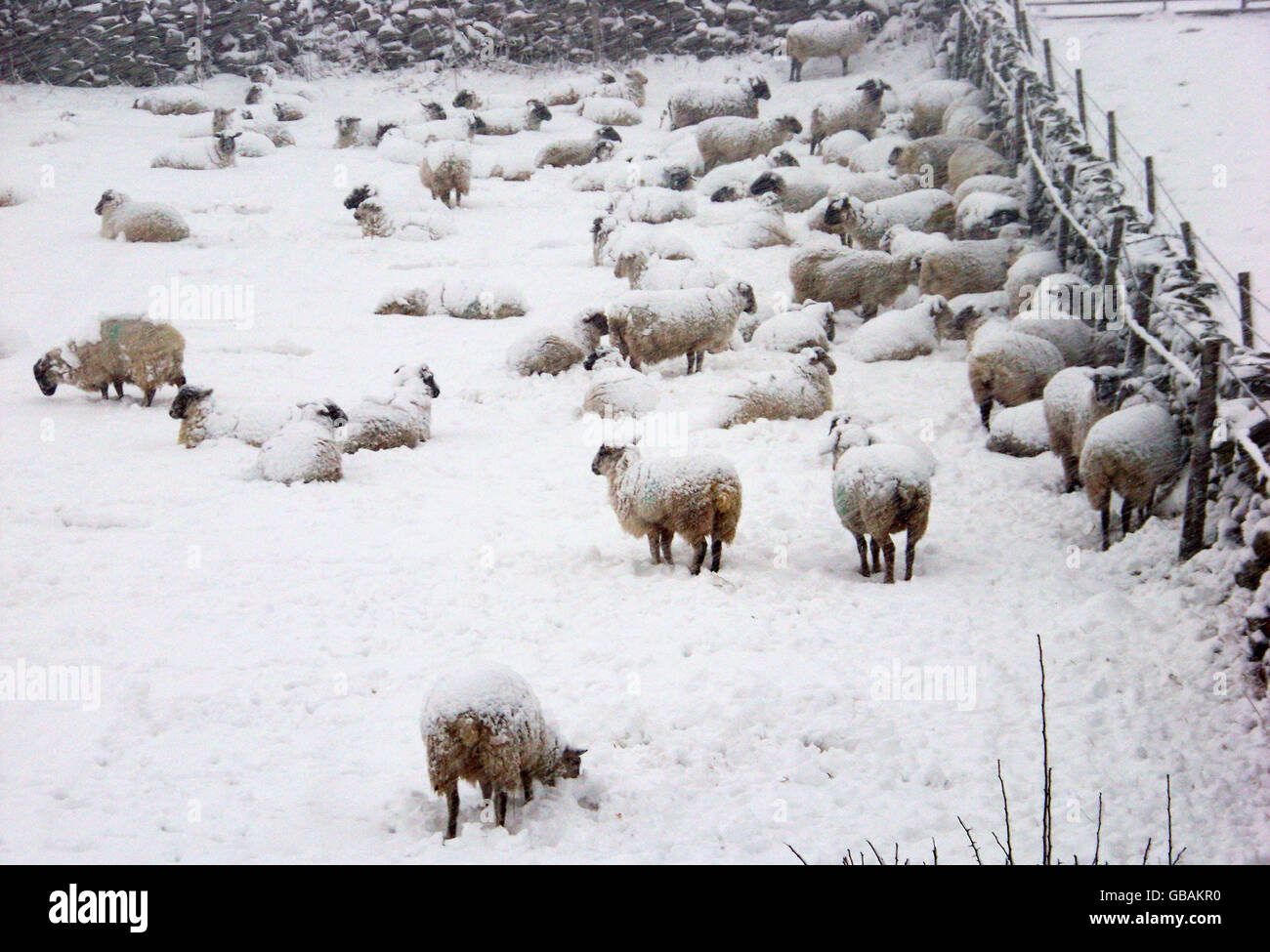 Snow in the UK Stock Photo - Alamy