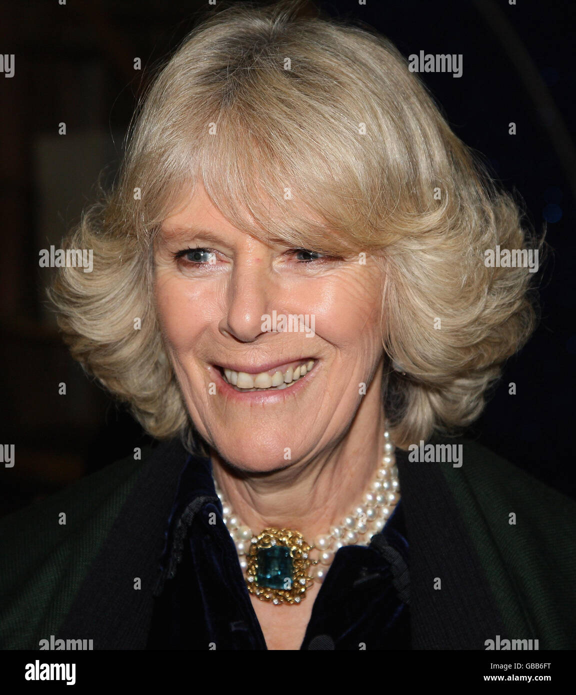 Olympia, The London International Horse Show Stock Photo Alamy