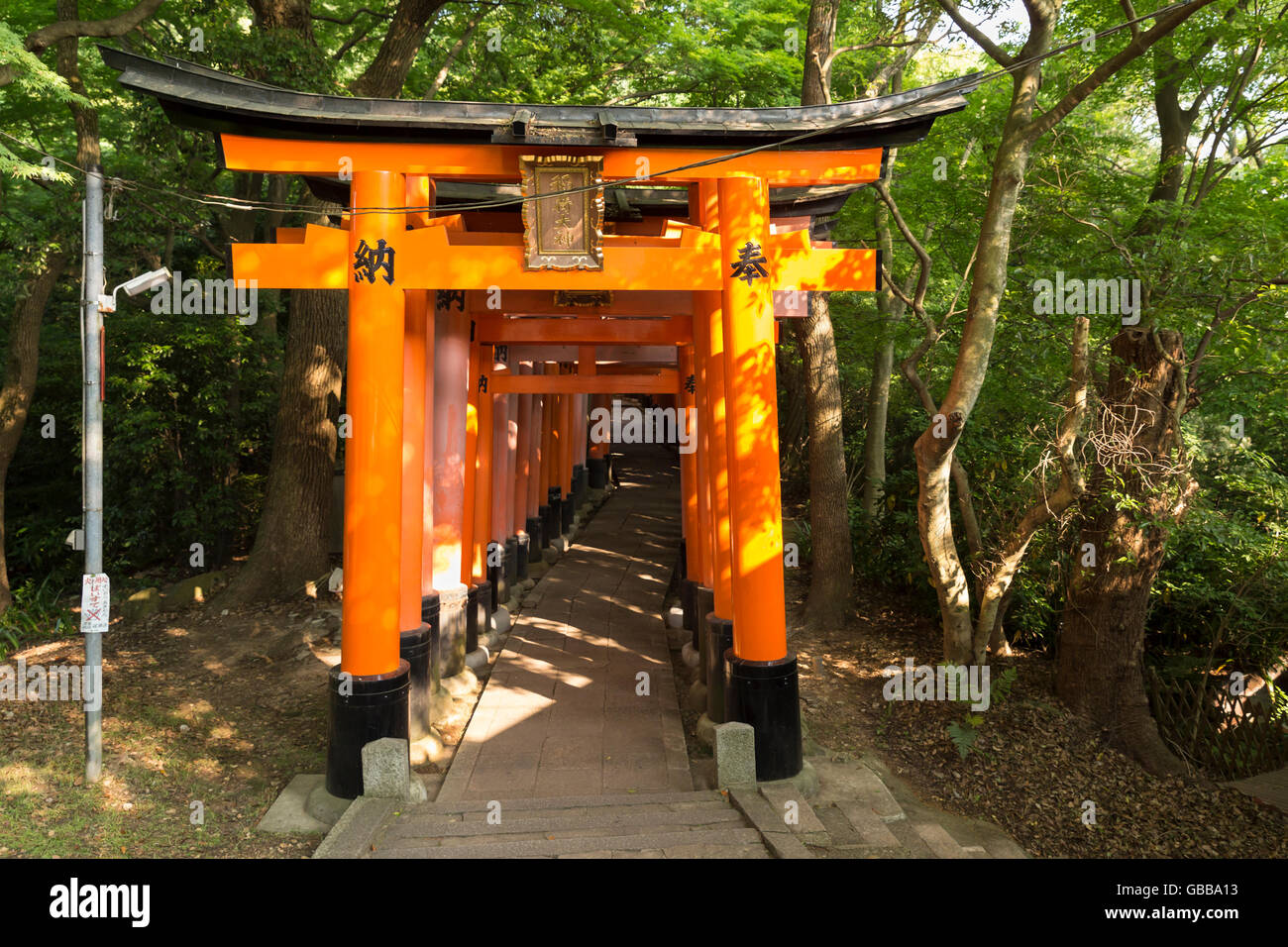 Pathway with orange painted torii (gates) at the world famous fushimi inari shrine in Kyoto