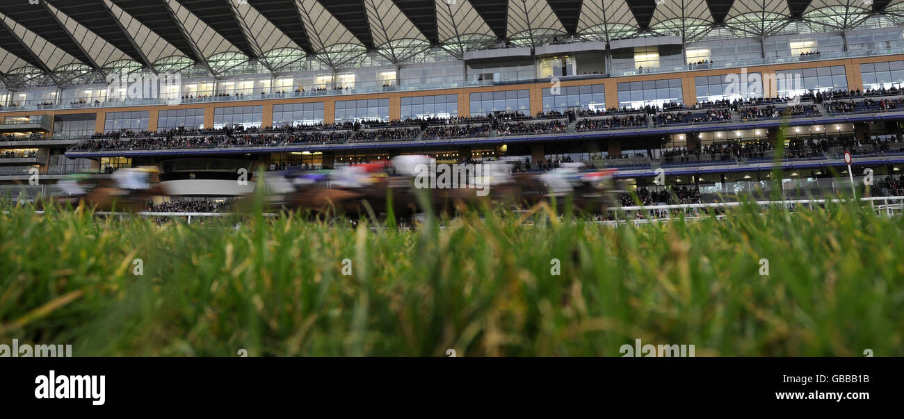 Horse Racing - The BGC Christmas Meeting - Day Two - Ascot Racecourse. Runners and riders pass the grandstand at Ascot Racecourse, Berkshire. Stock Photo