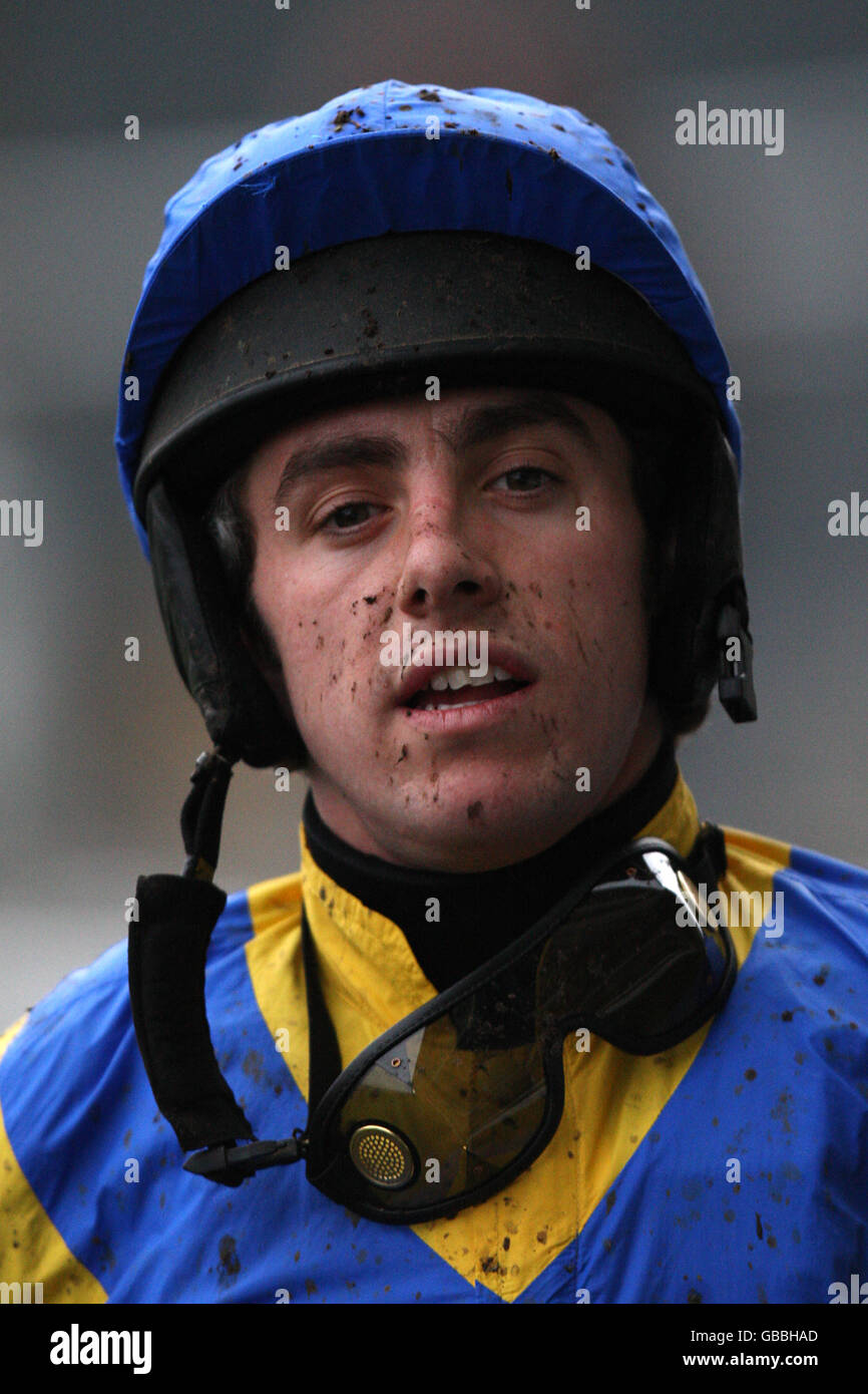 Horse racing the bgc christmas meeting day one ascot racecourse hires stock photography and