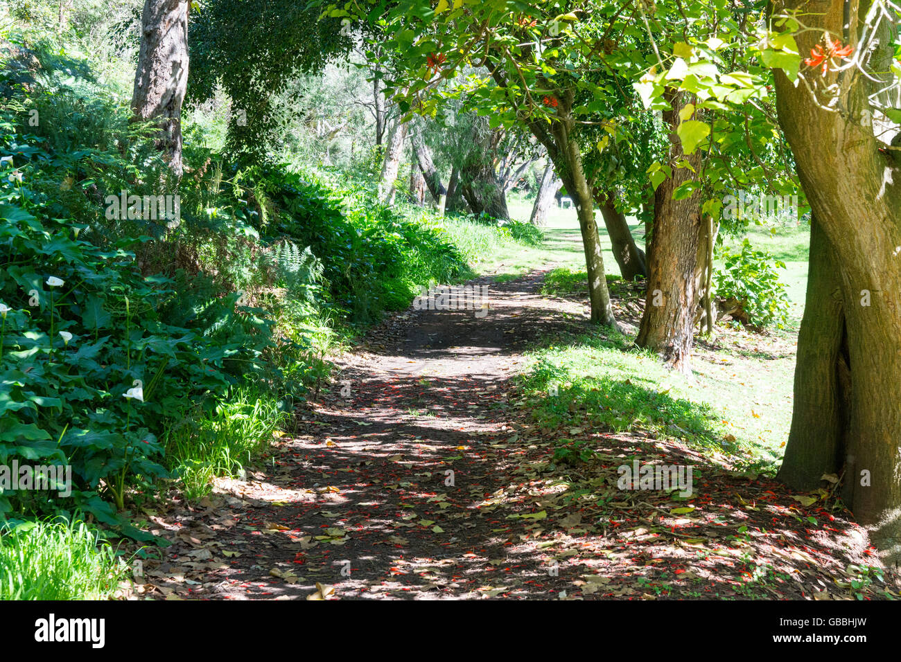Sunny country walk hi-res stock photography and images - Alamy