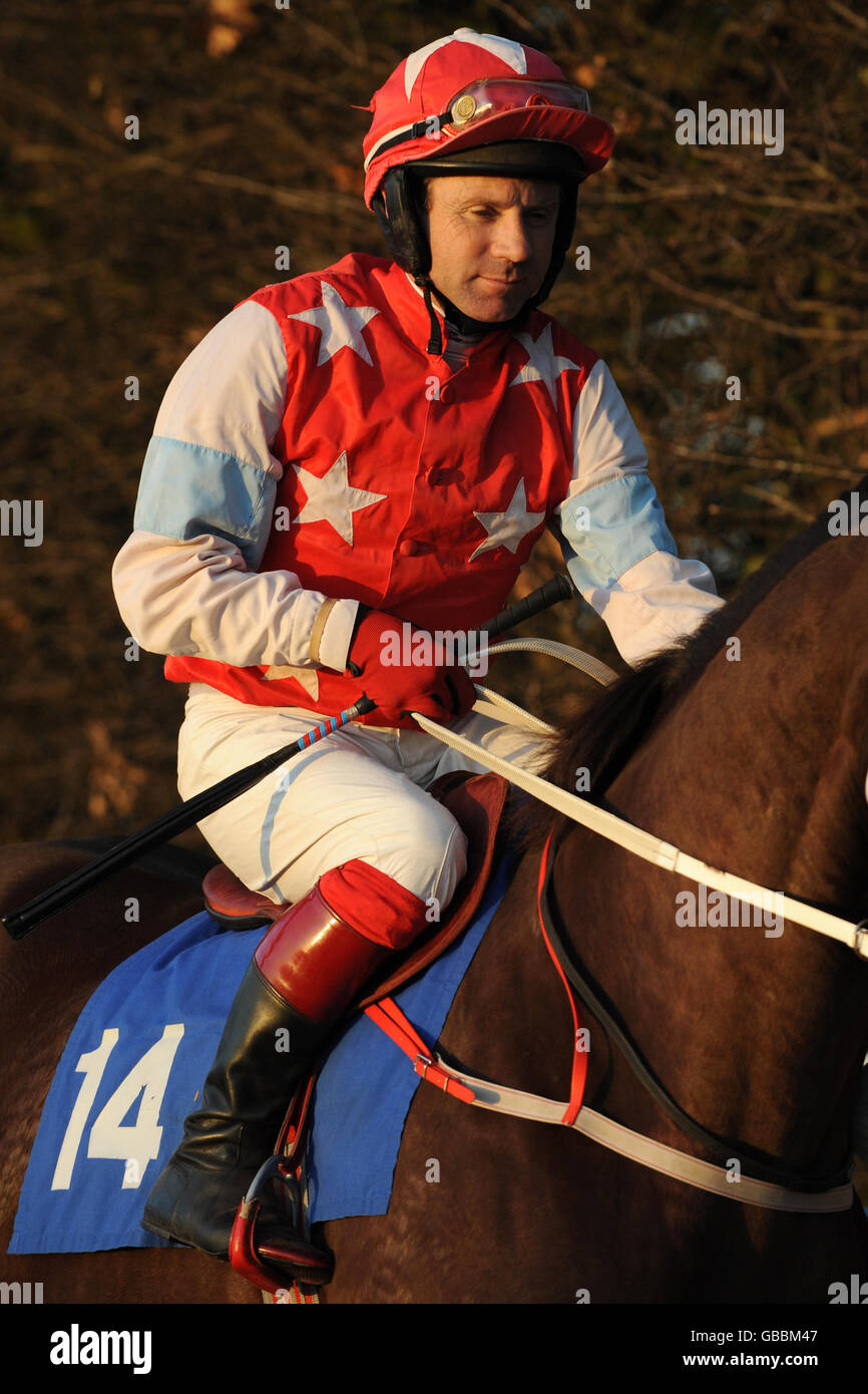 Horse racing races full length prior to the race before hires stock