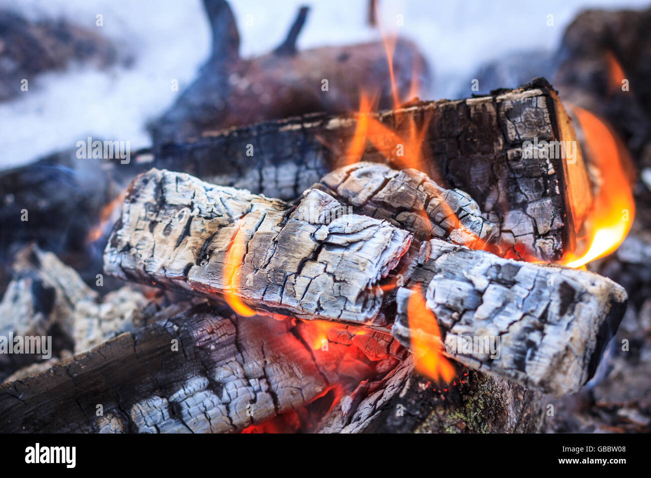 Firewood embers burning with orange flames around white ashes. Shallow