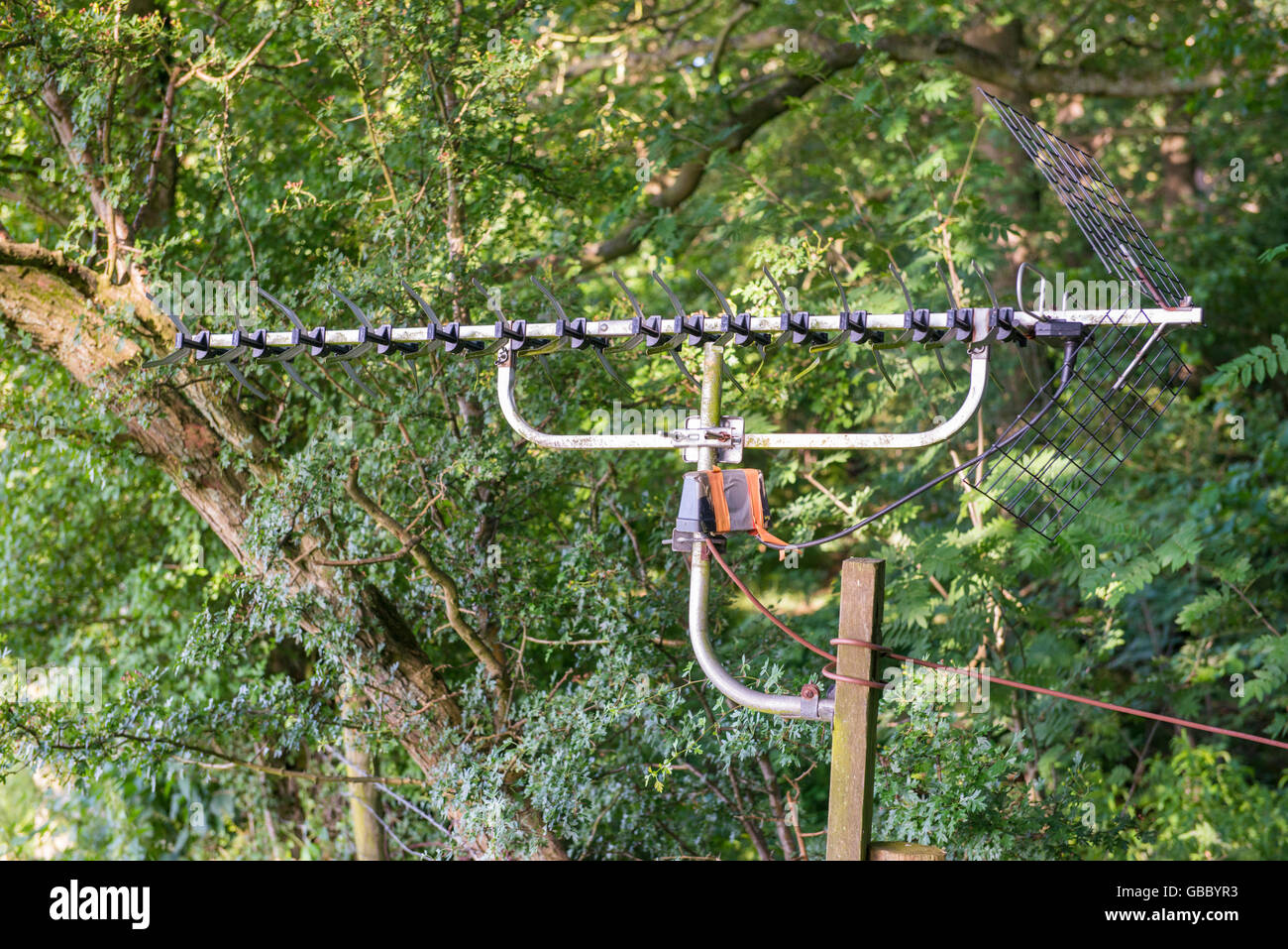 TV antennas on the edge of a wood in the Shropshire countryside