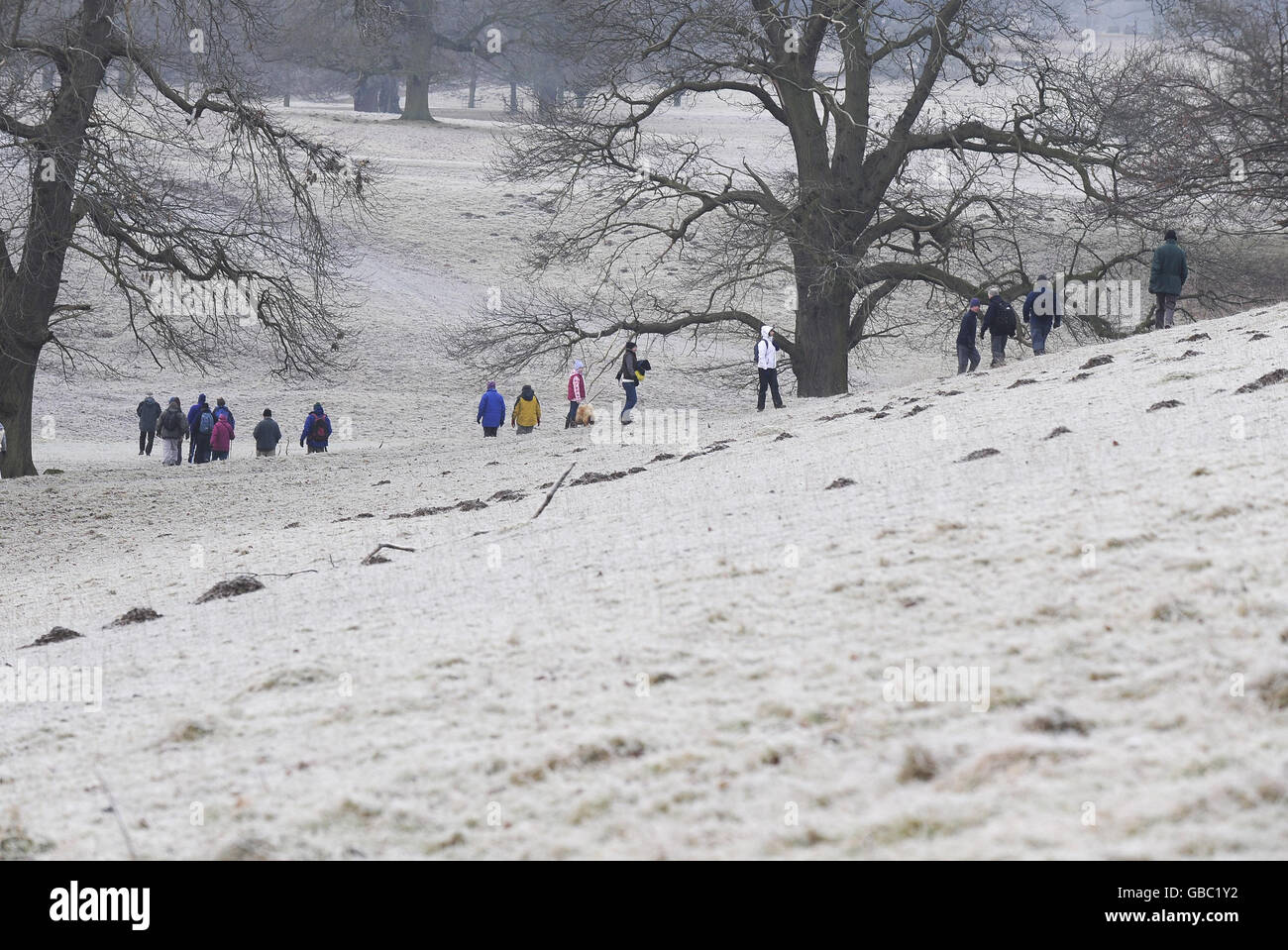 A group of walkers in a frosty scene at Studley Royal near Ripon as the cold spell continues. Stock Photo