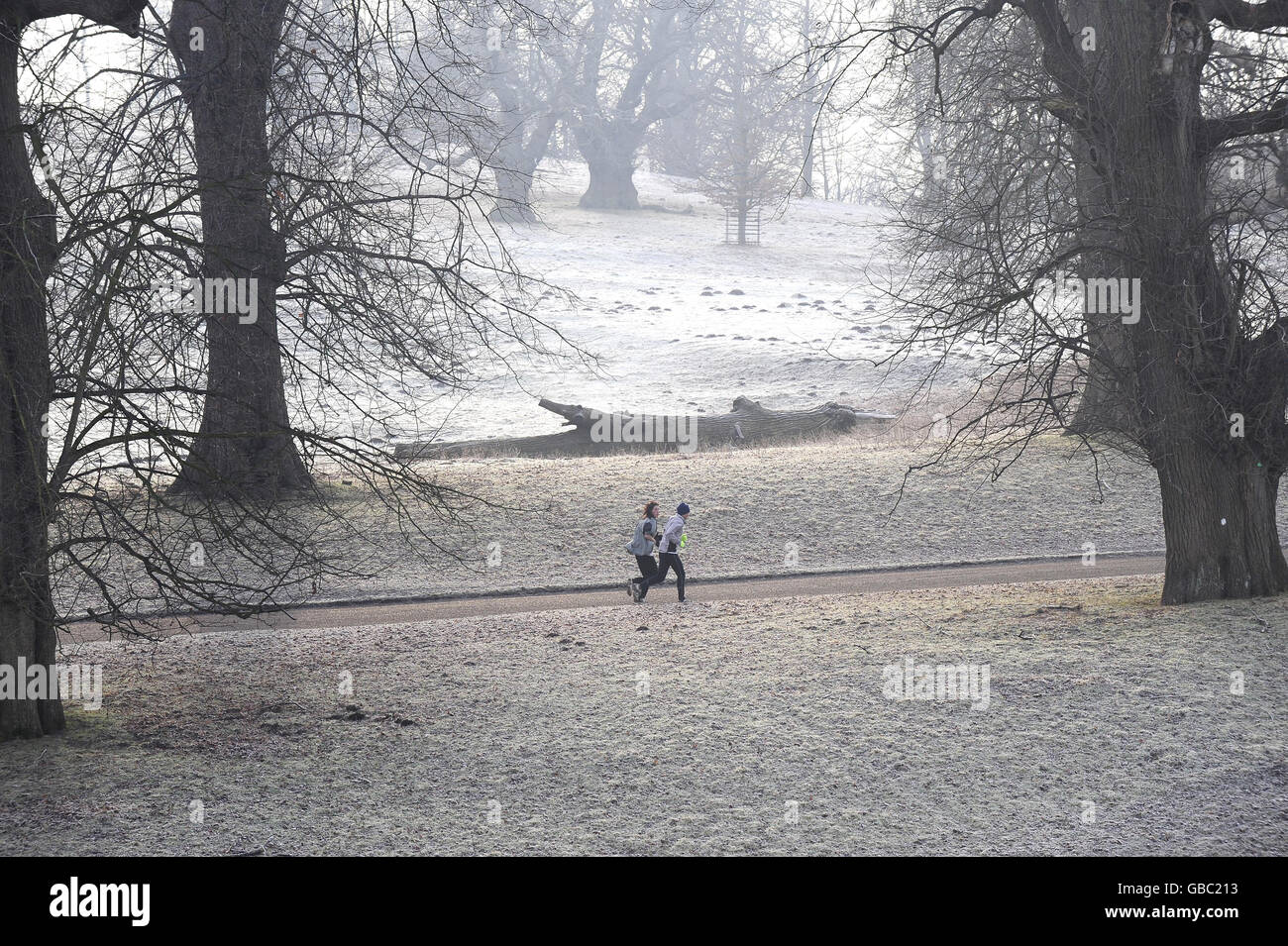 A pair of runners in a frosty scene at Studley Royal near Ripon as the cold spell continues. Stock Photo