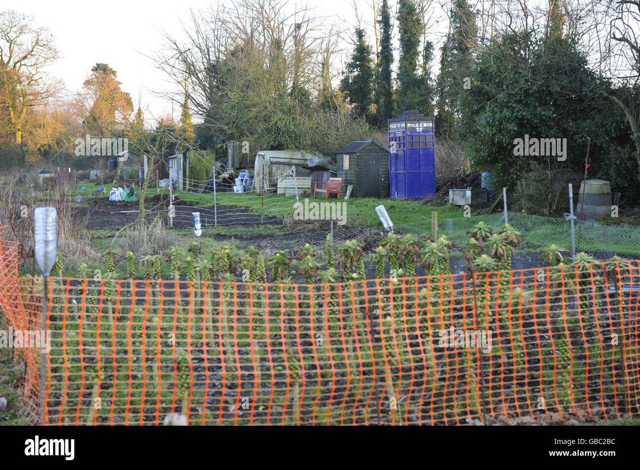 A shed shaped like a TARDIS in an allotment on Quakers Walk allotments, Devizes, Wiltshire belonging to Philippa Morgan and Declan McSweeney. Stock Photo