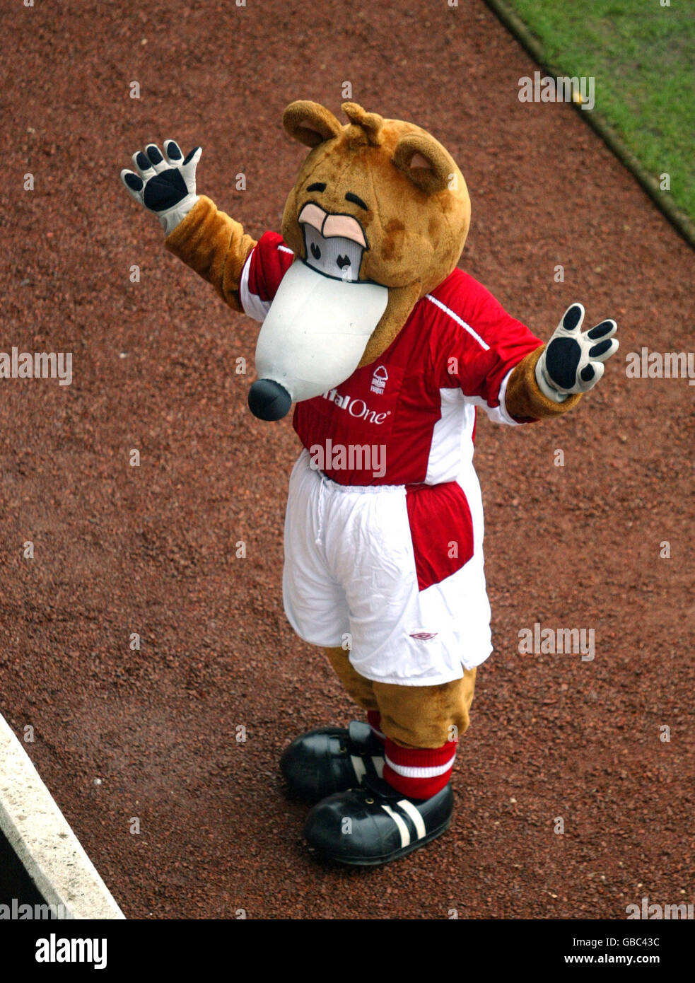 Nottingham forest mascot hires stock photography and images Alamy