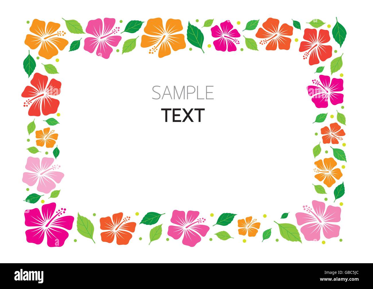 Hibiscus Flower Border