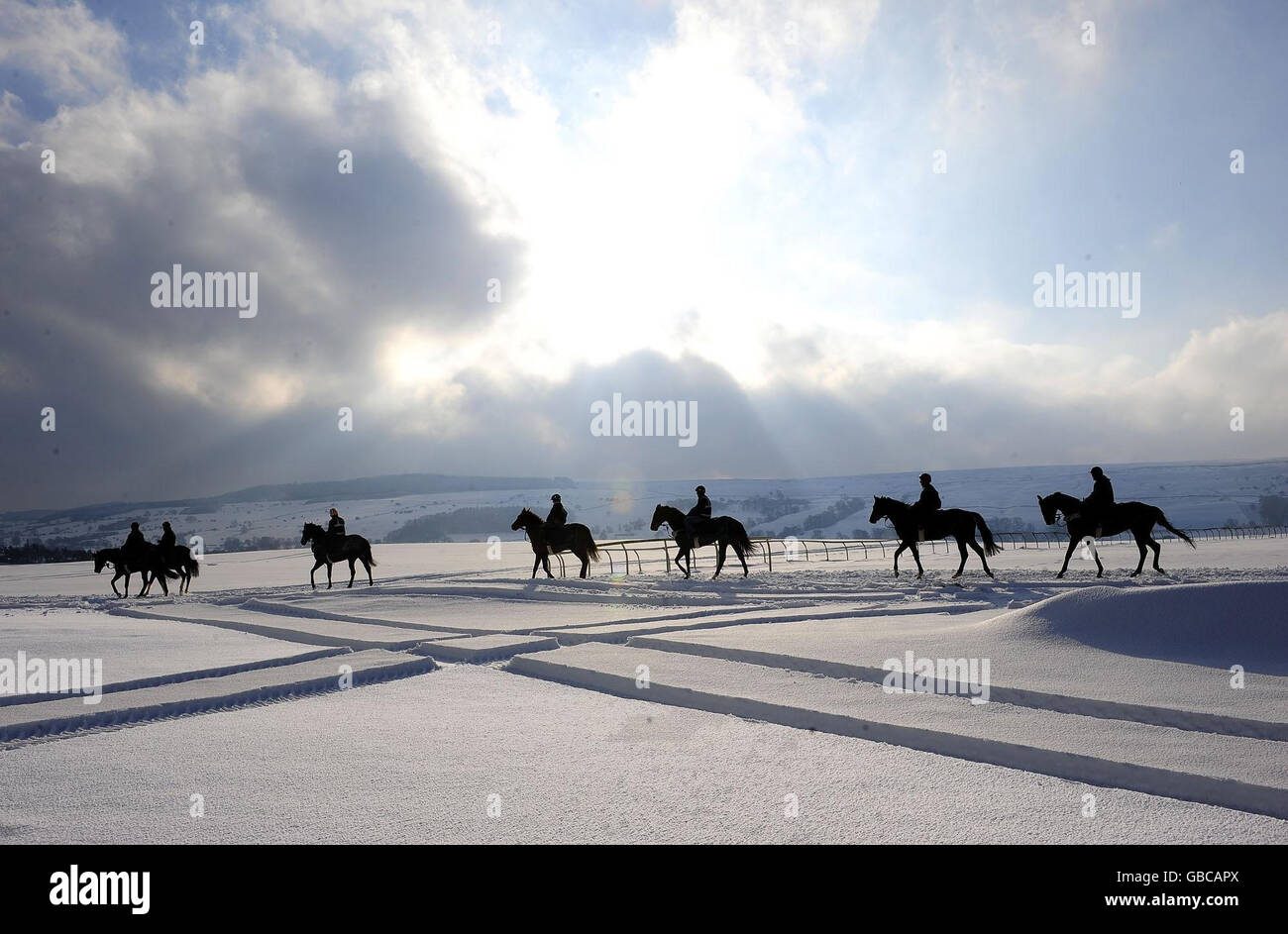 With turf racing again abandoned in the UK because of heavy snowfalls the gallops at Middleham in North Yorkshire were busy with racehorses exercising in deep snow. Stock Photo