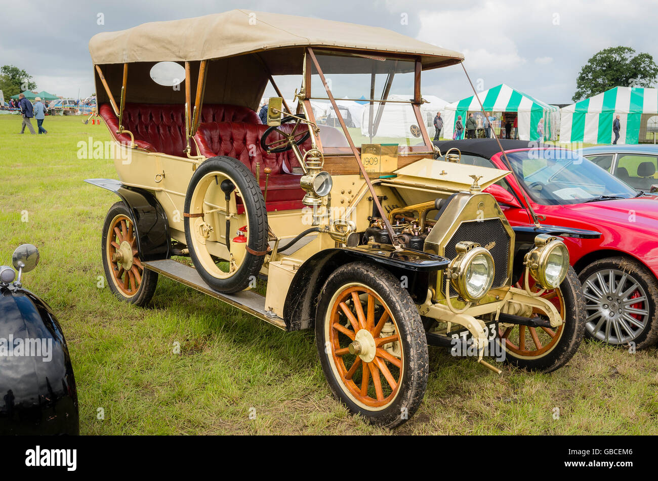 Belsize Roi-de-Belges now over 100 years old at an English show Stock Photo