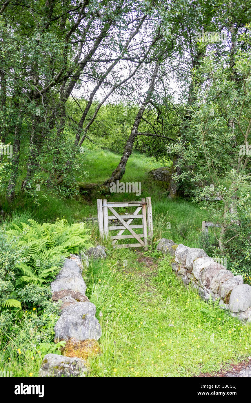 Wooden Gate Entrance To Woodland Walk In Scottish Highlands Stock Photo