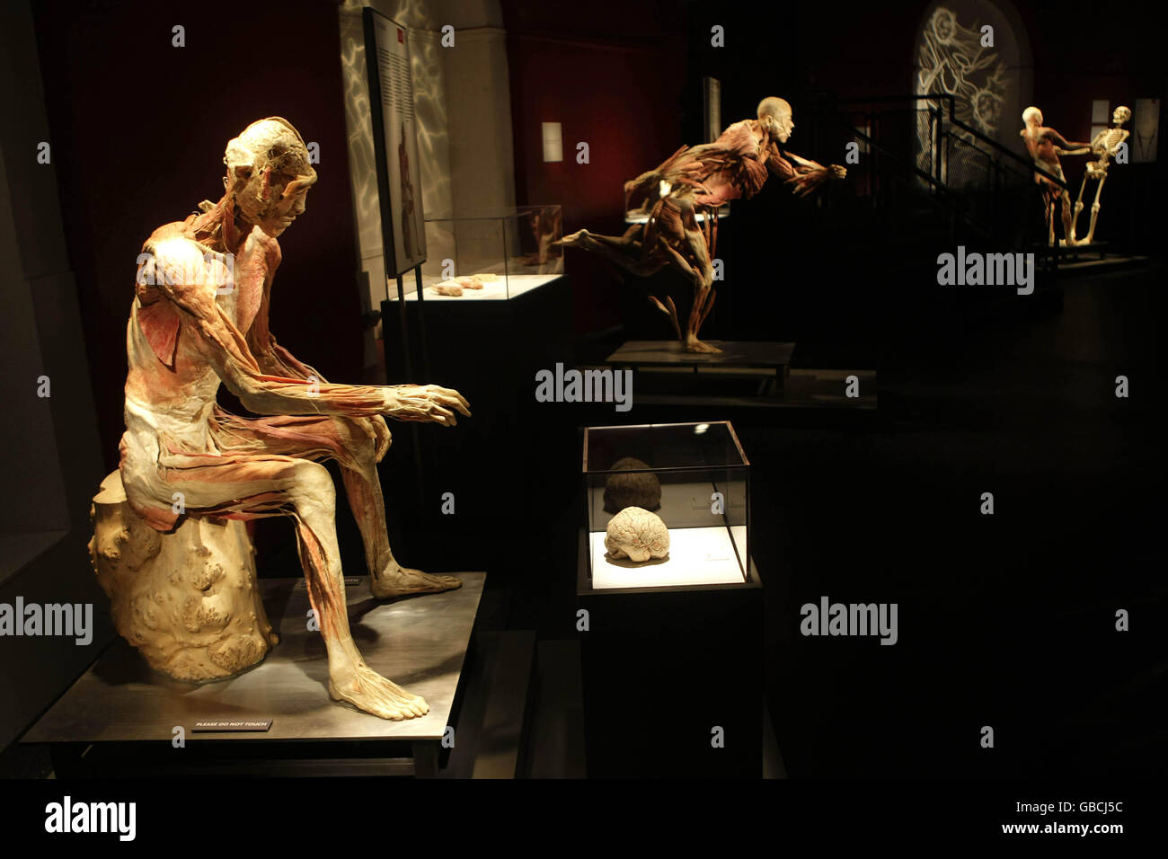 A general view of Bodies the Exhibition, which has opened its doors at the Ambassador Theatre in Dublin. Stock Photo